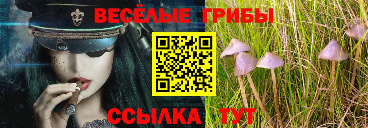 Сунжа  Псилоцибиновые грибы GOLDEN TEACHER  Вход с VPN 