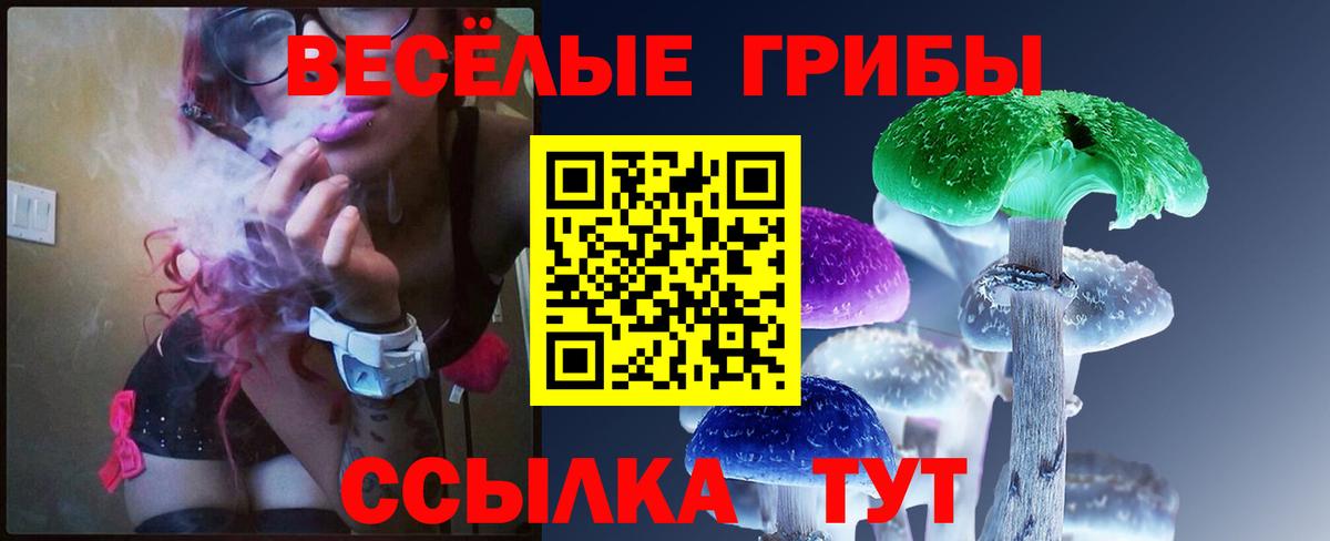 Псилоцибиновые грибы мухоморы Сунжа